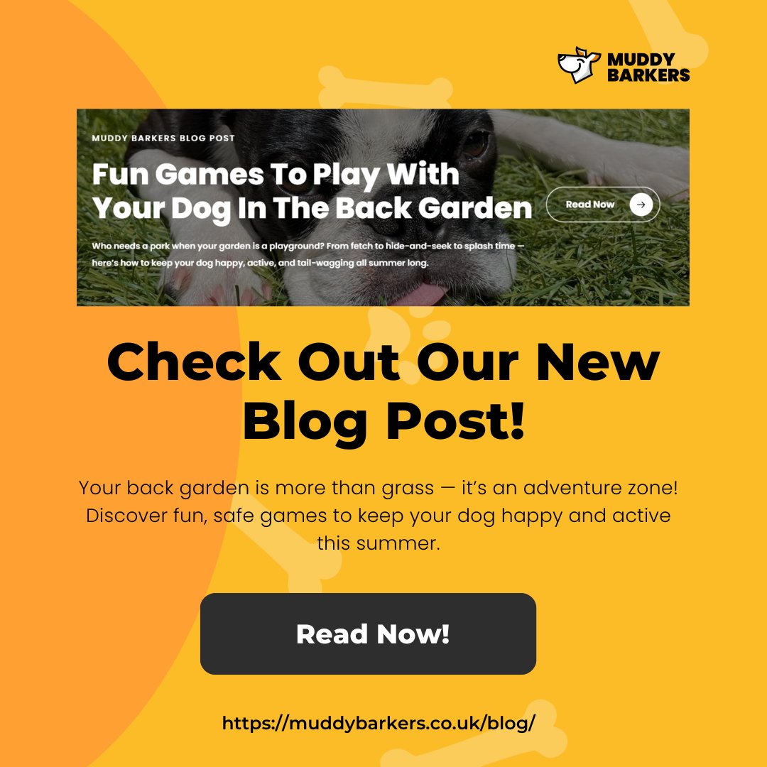 Playtime starts at home! 🐶🏡

Turn your garden into a tail-wagging paradise! 🌞
We’ve rounded up the best backyard games to beat boredom and keep your pup moving.

Read Now 👉 muddybarkers.co.uk/08/fun-games-t…

#DogPlaytime #BackyardFun #MuddyBarkers #HappyDogisaTiredDog #DogGames