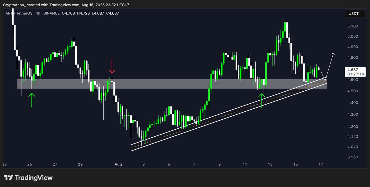 $APT

Similar play to $ARB, a trend reversal setup.

The chart should be self-explanatory, gray support zone looks like a solid entry area.