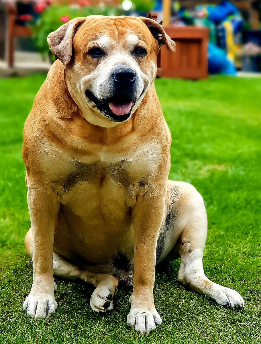 Happy Jackurday 🥰🥰❤️❤️
#Jackurday