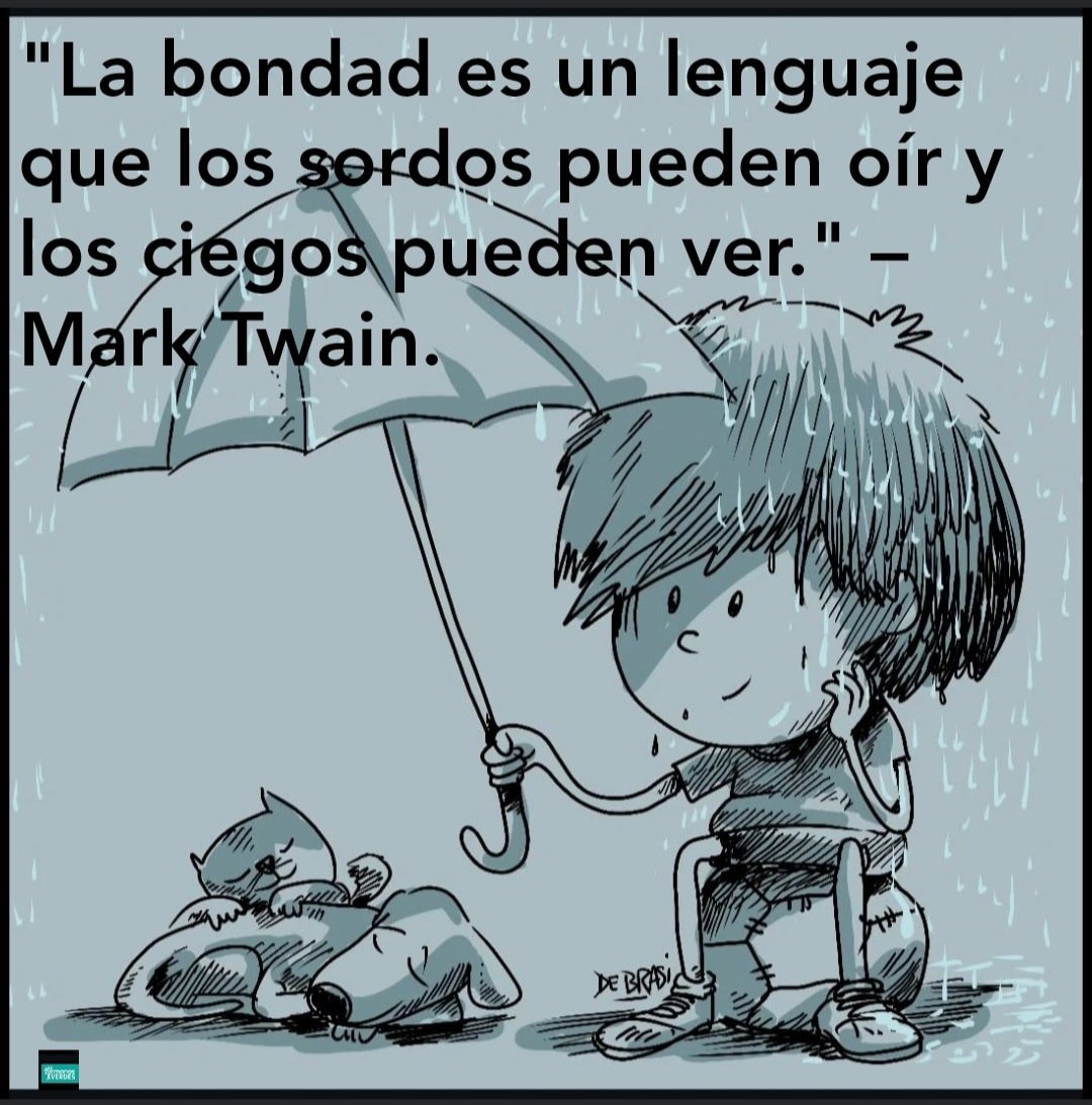 Rincón Curioso (@rincncuriosoo) on Twitter photo 