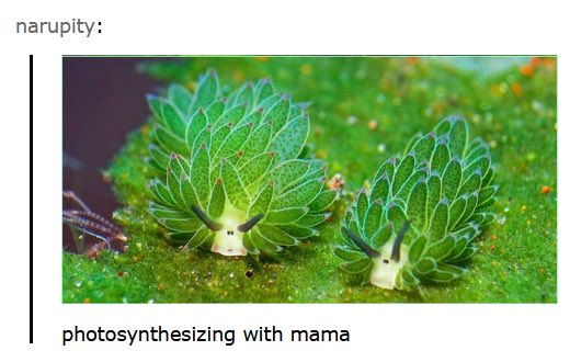 Miles Smiles tweet media