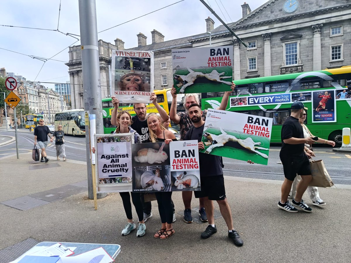 AnimalPartyIE's tweet photo. We had an amazing turnout at a regular protest to demand #BanAnimalTesting in front of #TrinityCollegeDublin .
#BanAnimalLabTesting https://t.co/9WyG7iFvxS