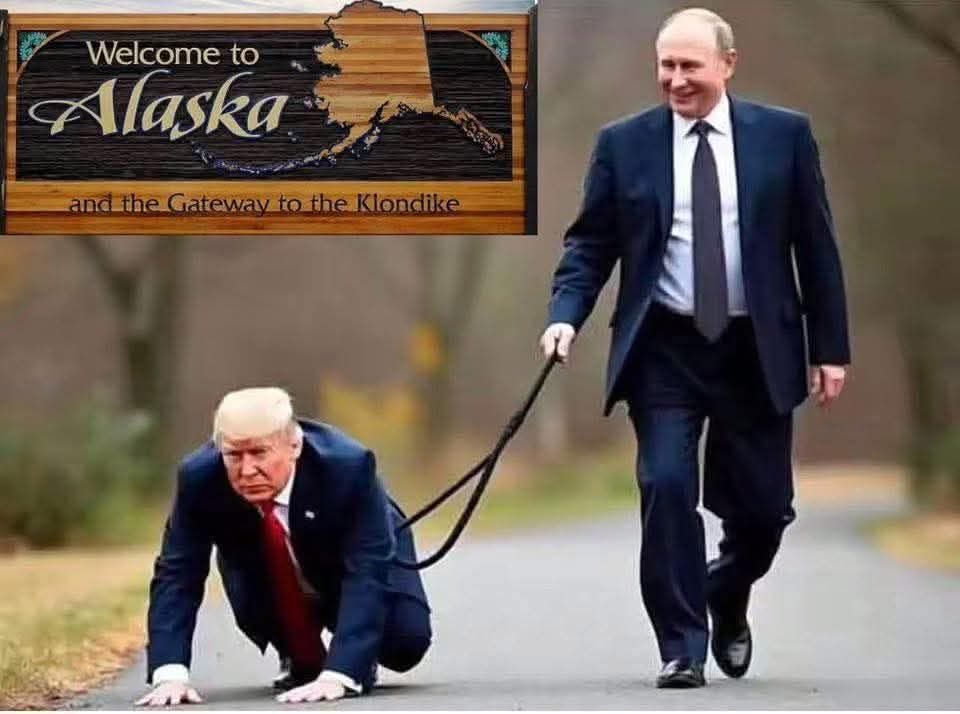 foidal2011's tweet image. 