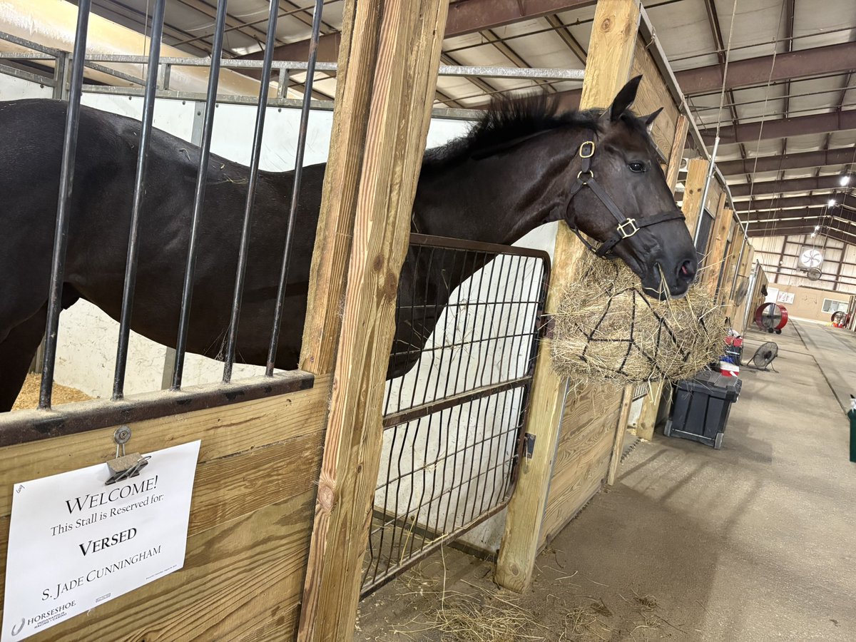Something about it just being you, the horse, and a receiving barn- takes you back to the basics 💚🤍