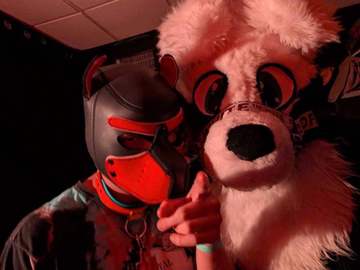 Saul Goodman ahh point
<a href="/catowoofer/">Cato</a>