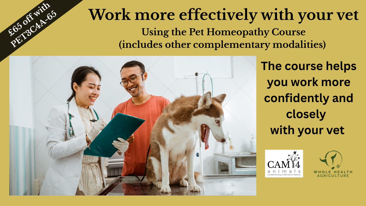 WANT TO WORK MORE PROACTIVELY WITH YOUR VET?

This holistic pet care course by vet Chris Auckland will give you more confidence to know when to call your vet or when it's safe to use a complementary approach
 
Use PET3C4A-65 for £65 off⤵️
learning.wholehealthag.org/pet-course-3

#holistichealth