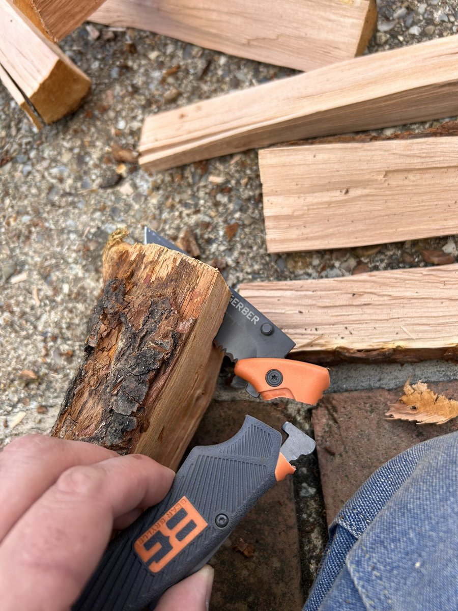 Zest for Print tweet media