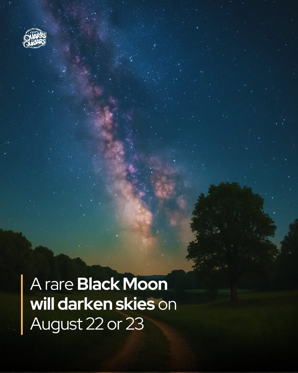 prequellerat's tweet photo. a black moon over the peacefield???? https://t.co/D7l0HuVTy3