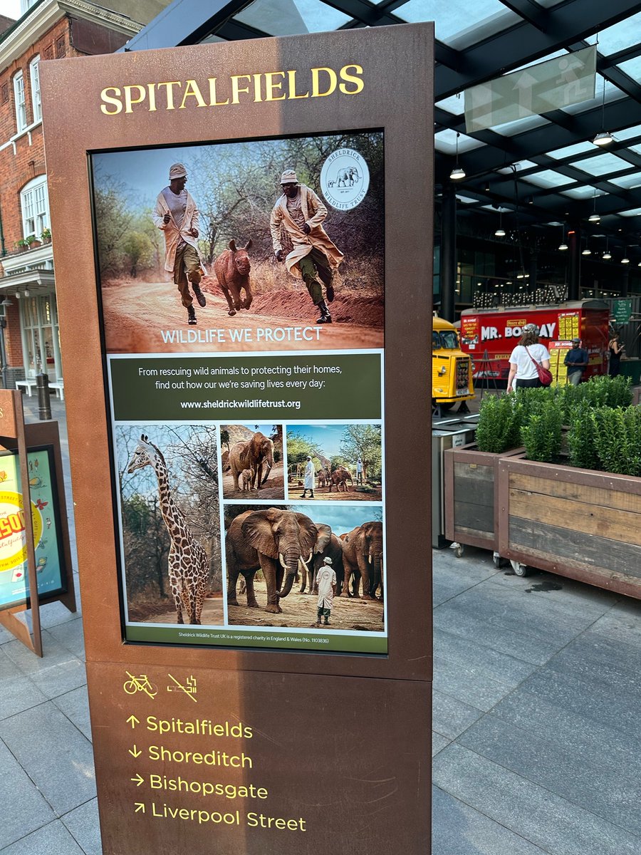 Another great day at our @spitalfieldsE1popup. We have loved meeting so many existing supporters this week, and welcoming many more into our human-elephant family. 

There’s been plenty of education and creativity on display too, from clay model making, to painting, to videos