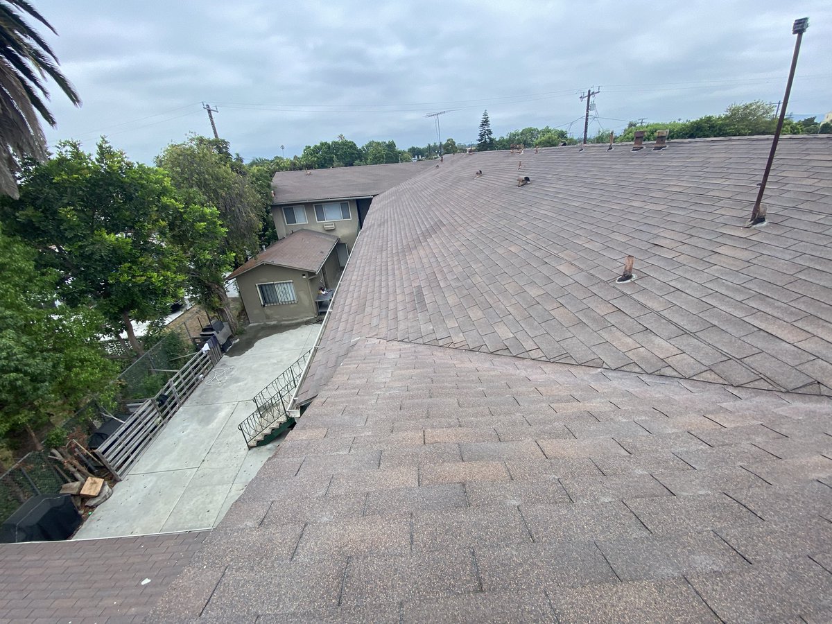 屋根の上。特に異常なし！☝️