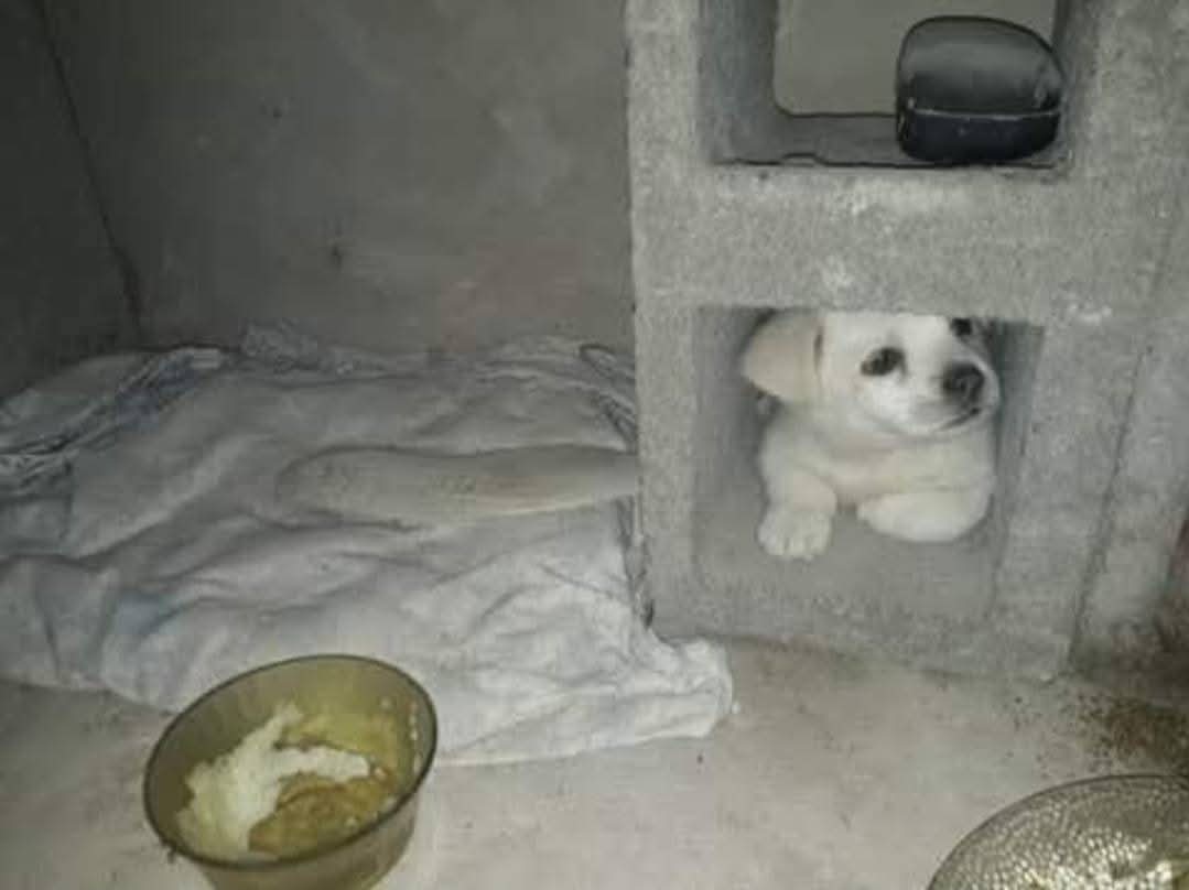 Abellcymeg's tweet image. Tiene la cama y el wey duerme en el bloque, no sé si es humilde o pendejo