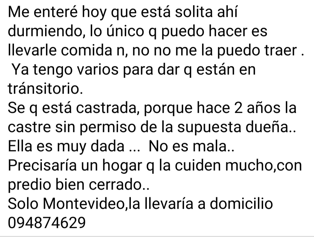 MatuNogueira's tweet photo. Es una 😍 amorosa buscando un hogar cariñoso y responsable! La ayudamos? Gracias! https://t.co/3bSx5xpRoy