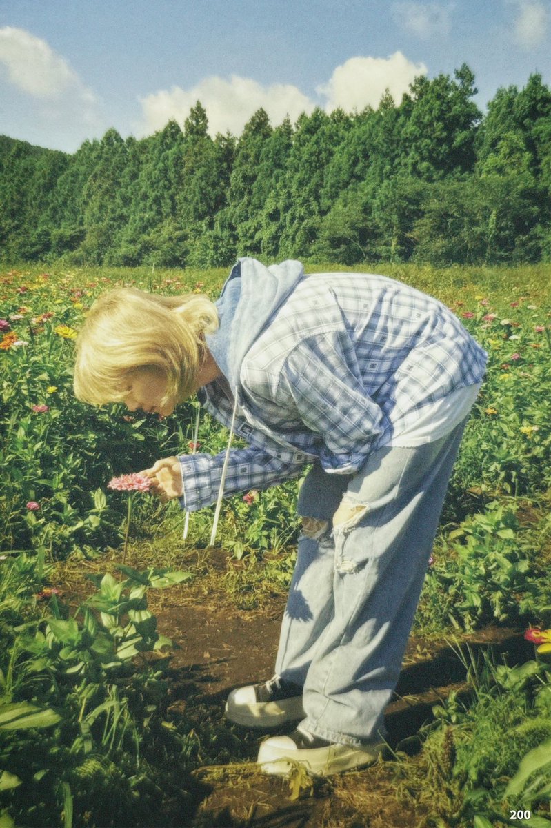 💐🌷🌼