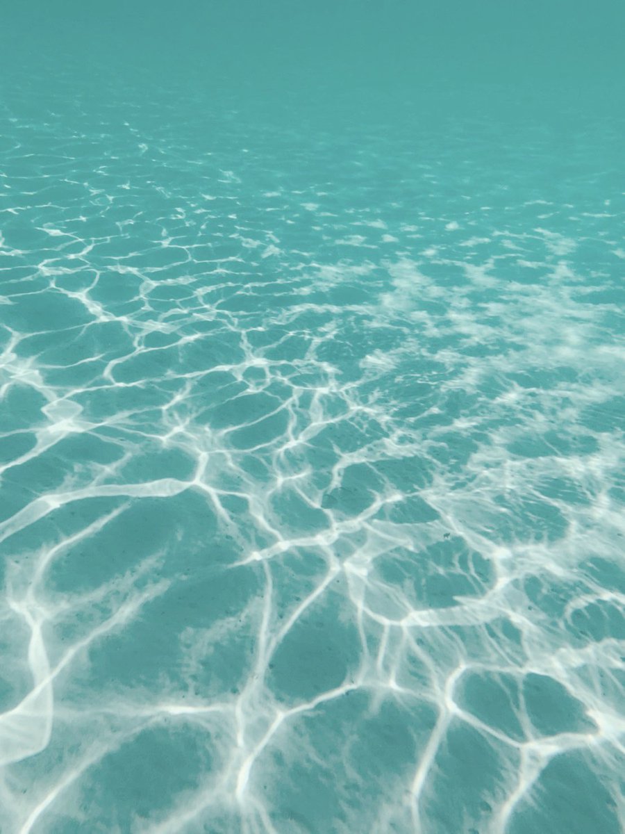 cyan5757's tweet photo. ここ数年母は毎年イタリアで夏を過ごしていて、毎日この海で泳いでいる
いつも優雅なバカンスの写真が送られてくるけど娘の私はお盆も仕事なので悔し涙を流しながら働いている https://t.co/N2XxyHxzJH