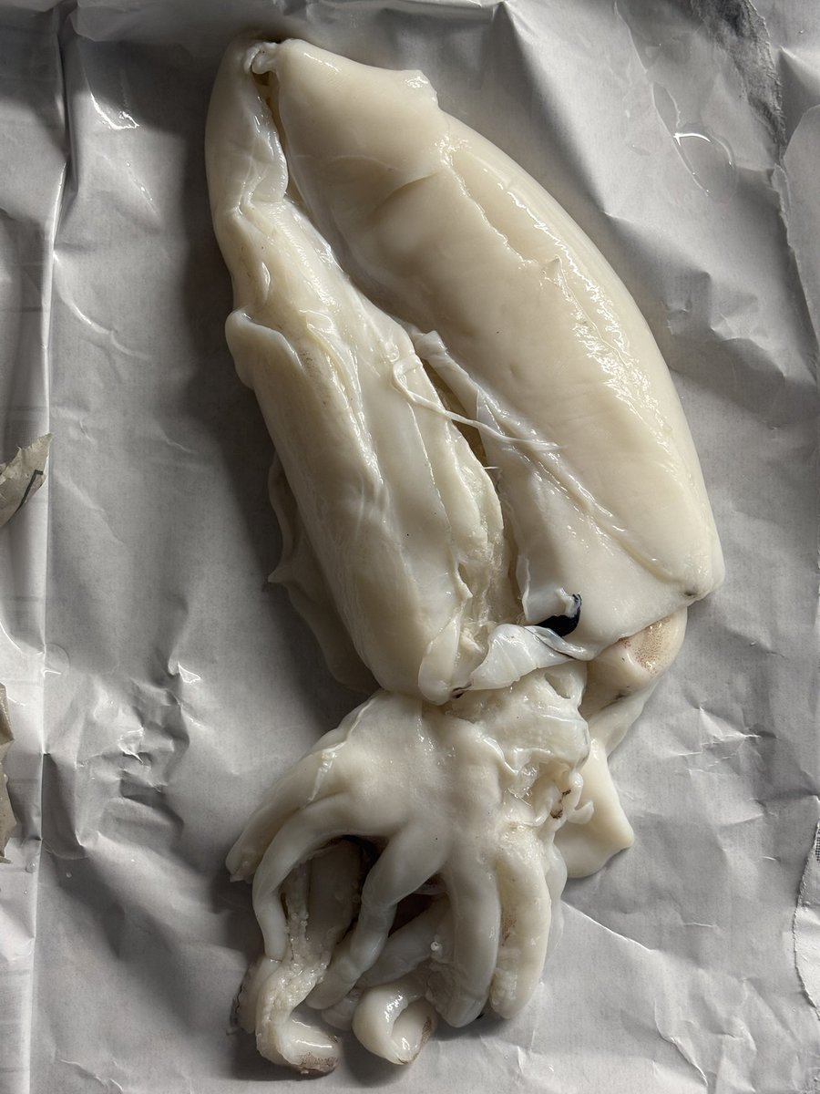 schere's tweet image. 