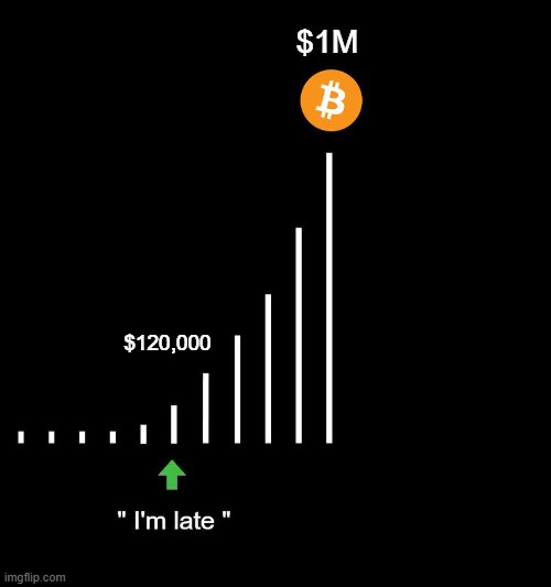 When 1 #Bitcoin is $1M, you won't care if you bought at 97K or 118K 🚀