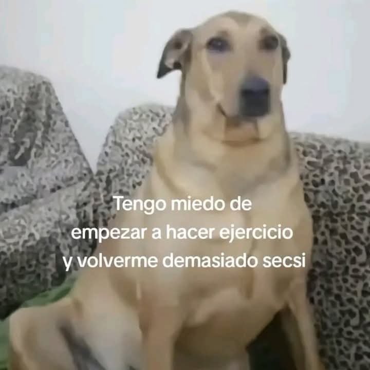 En Júpiter (@en_jupiter_) on Twitter photo 