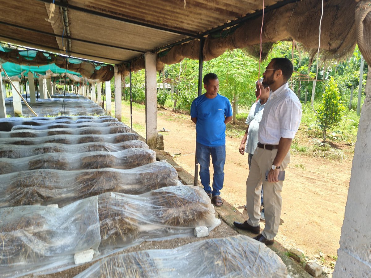 ଆଜି ଜିଲ୍ଲାପାଳ, ବଲାଙ୍ଗିର; ମୁଖ୍ୟମନ୍ତ୍ରୀ କୃଷି ଉଦ୍ୟୋଗ ଯୋଜନା (MKUY) ଅନ୍ତର୍ଗତ ଫଟାବାହାଲ ସ୍ଥିତ ବ୍ୟବସାୟଭିତ୍ତିକ ଛତୁ ଉତ୍ପାଦନ କେନ୍ଦ୍ର ପରିଦର୍ଶନ କରିଥିଲେ।