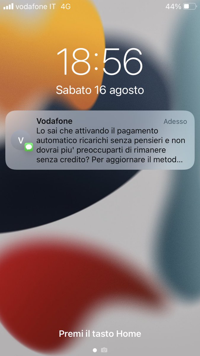 Vogliono solo i dati della mia carta di credito,in fondo.
Insistono da mesi.
