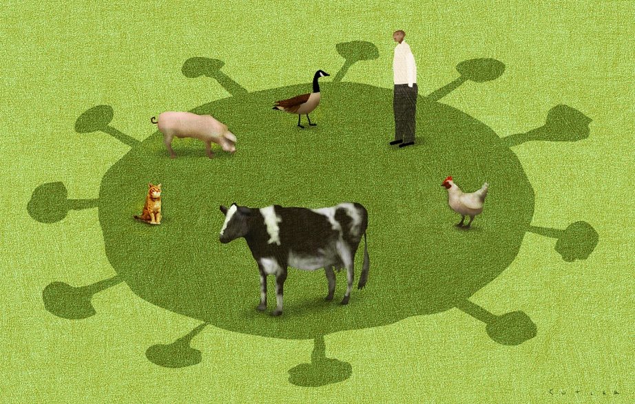 PNASNews's tweet image. Opinion piece: There’s a real risk of #BirdFlu spread. Here are three things we can do now to reduce the risk of #AvianFlu spillovers. In PNAS Front Matter: ow.ly/kPvk50WGH2w

#BirdFlu #AvianInfluenza #HPAI #Covid19 #pandemic #SARSCOV2 #PandemicPreparedness