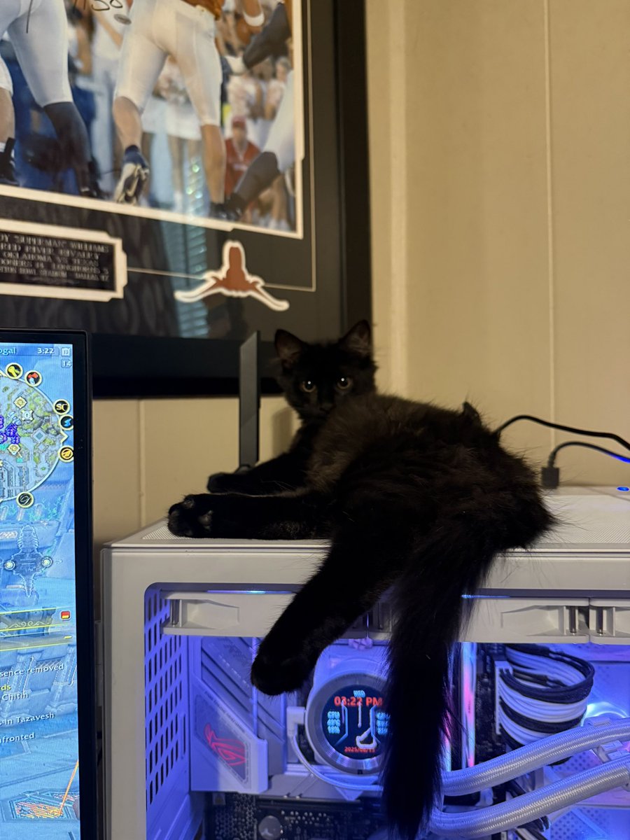 Christopher Smith tweet media