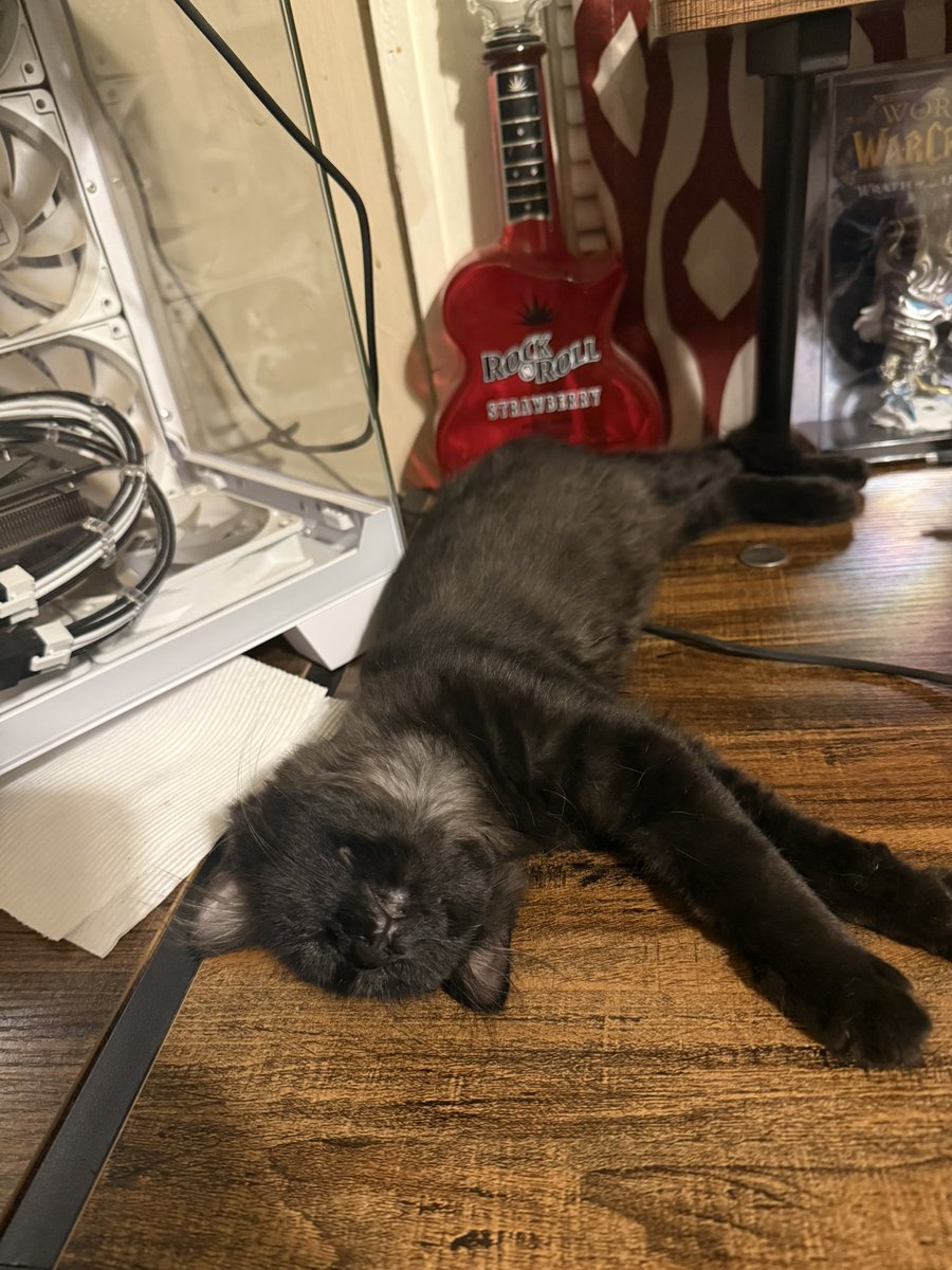 Christopher Smith tweet media