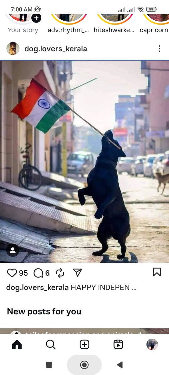 Alphamale090909's tweet photo. #SaveDelhiNCRDogs
@narendramodi @DrMohanBhagwat @AmitShah https://t.co/GFwvBEz3mz