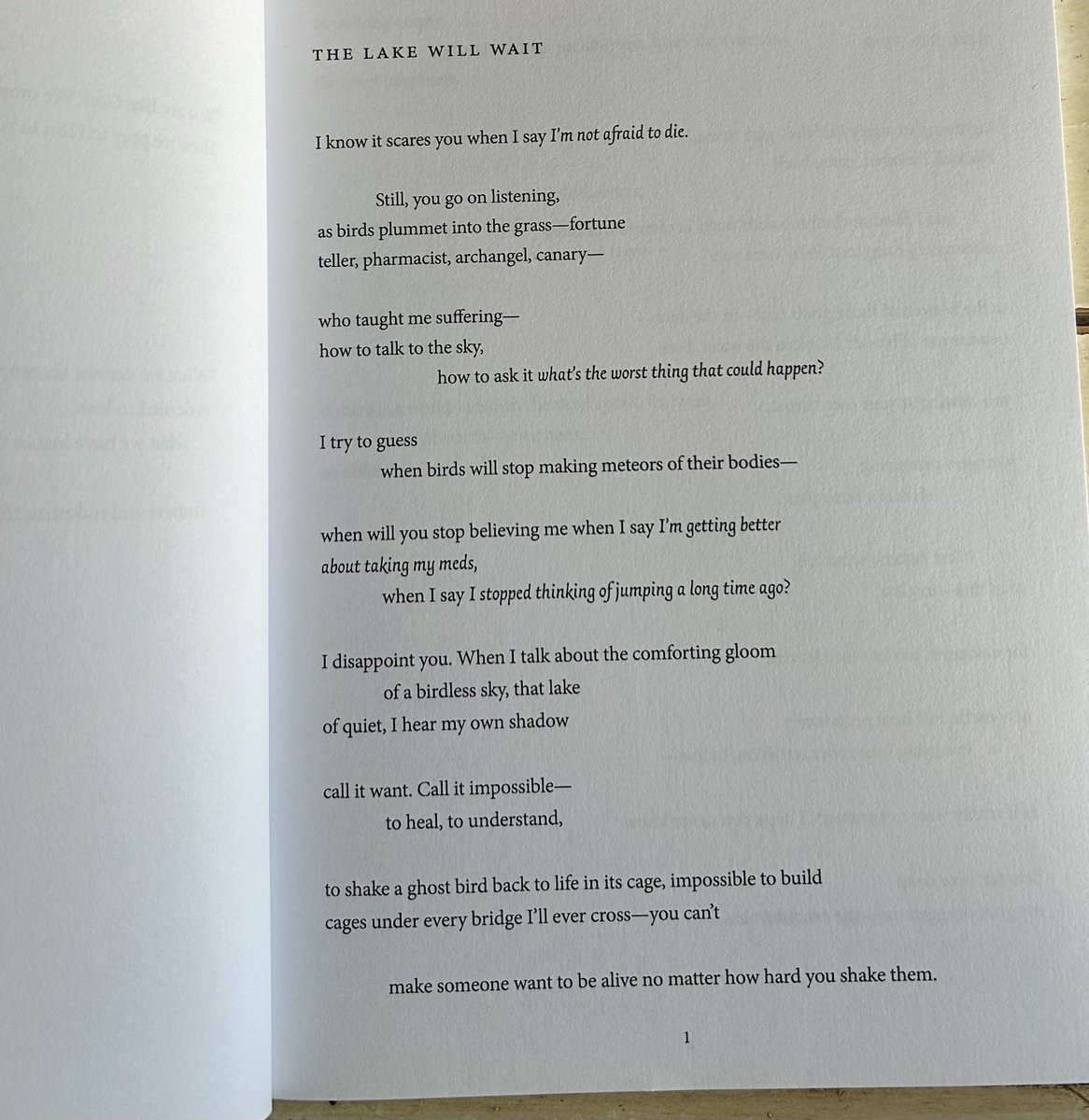 I wrote “The Lake Will Wait”— which ended up being the first poem in the collection— while sitting through my Corporate Tax Law Class in law school.