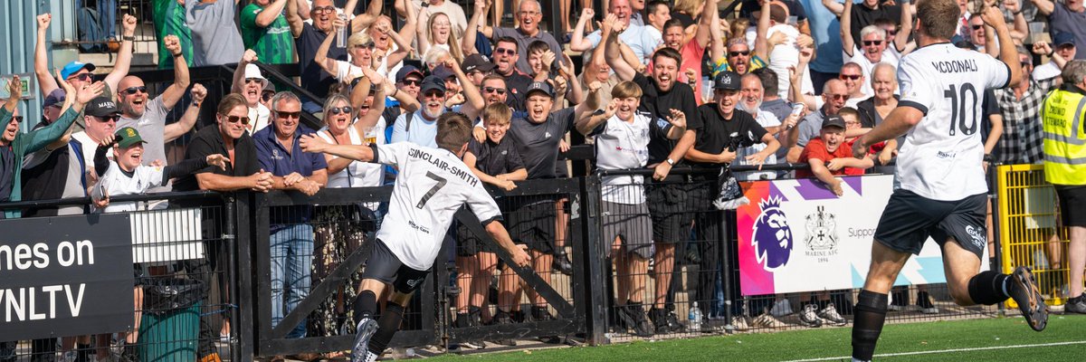 🦈 New Profile Pic