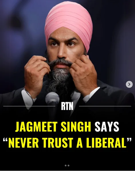 Christo Aivalis 🌹🍊 tweet media