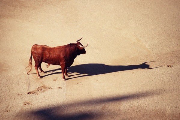 Magical Spain (@magicalspain) on Twitter photo 