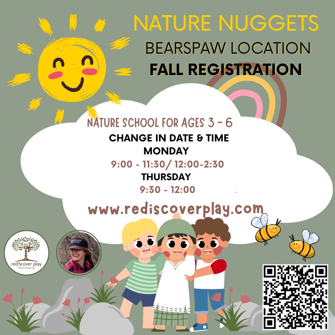 RediscoverP's tweet photo. Nature Nuggets ages 3 - 6. 9:30 - 12:00. Very Excited! @rediscoverplaynatureschools @bcs@home https://t.co/jRpcV9W3bu #bcs@home #homeschoolfamilies #bearspaw #calgarymoms #cochranemoms #naturepreschool #natureprogram #natureschool #resilientkids https://t.co/yW5OHmU99c