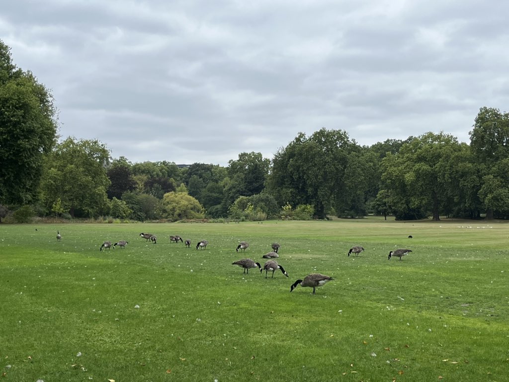 elaineahpmh's tweet photo. #AHPsActive & clocked up 18k steps in London https://t.co/sWWRXbsknb