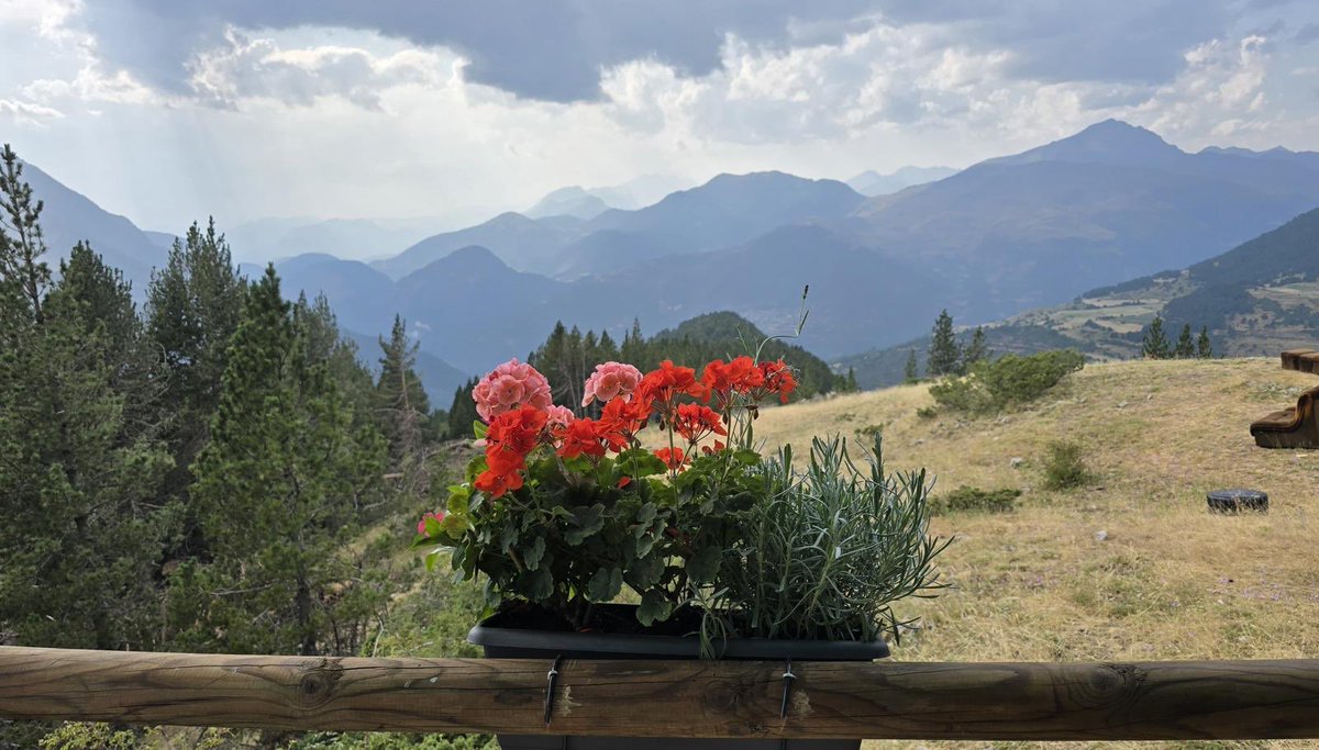 <a href="/lourdesbuisan/">Lourdes Buisán Gabás</a> <a href="/RBuetas/">Ramón Buetas Coronas</a> <a href="/ruchereta/">Ruchereta</a> <a href="/cbuisan71/">Carlos Buisán</a> <a href="/ConchaLardies/">Concha Lardiés</a> Un lugar para estar y compartir una buenísima comida o cena  con esas impresionantes vistas. Os lo recomiendo 🤩❤️😘