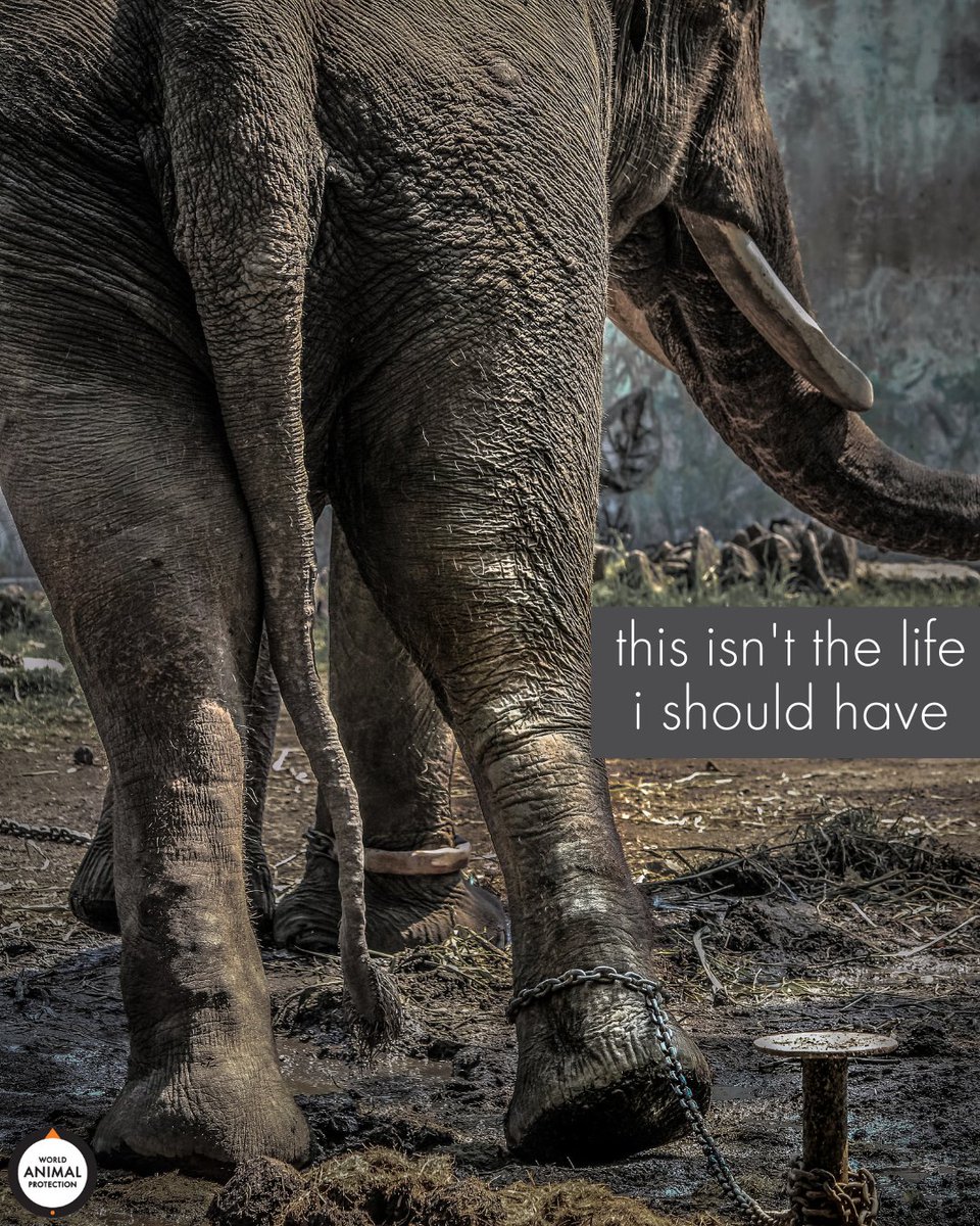 Nobody should live their life in chains.