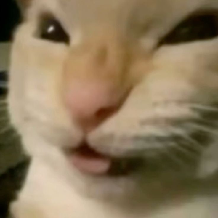 What if I drew spamtenna NSFW art