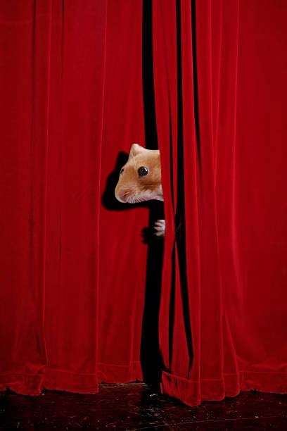 S grandpa tweet media