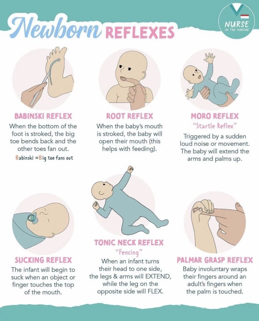Newborn REFLEXES