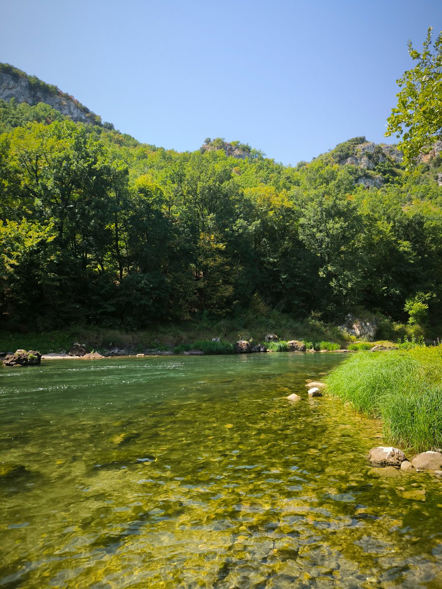 Dr. Paalmipedus 🦆 tweet media