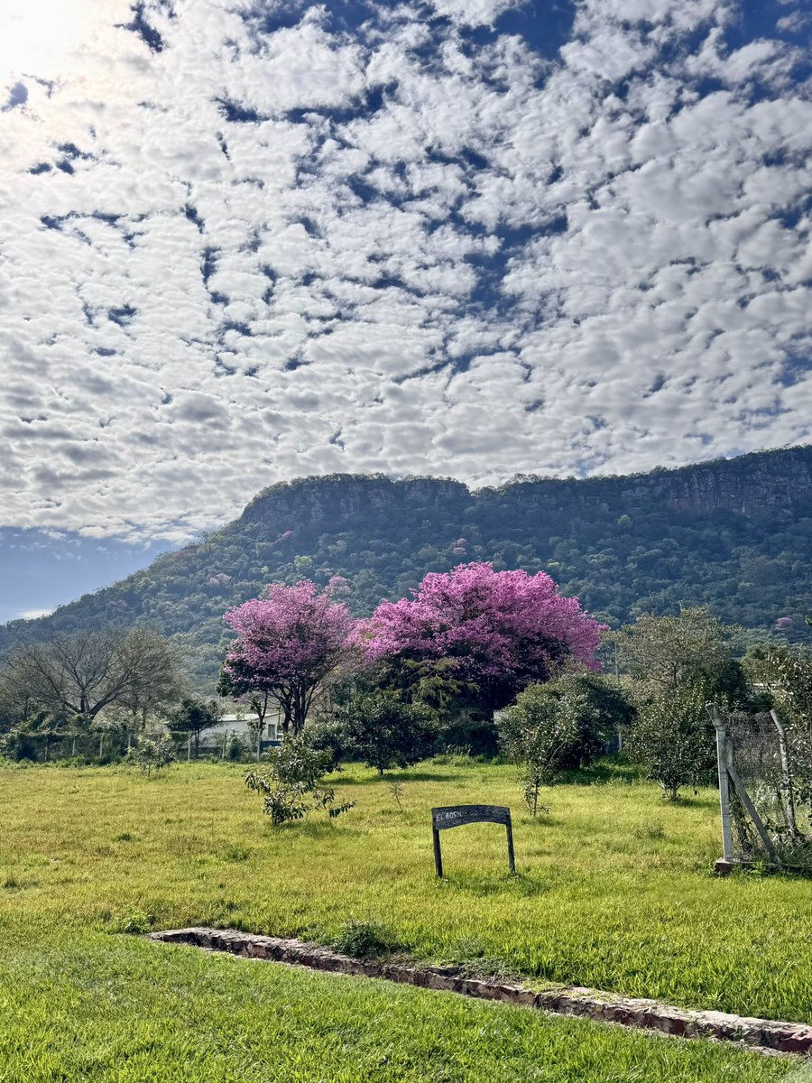 SolJDelvalle's tweet image. Desde Paraguari ❤️🇵🇾