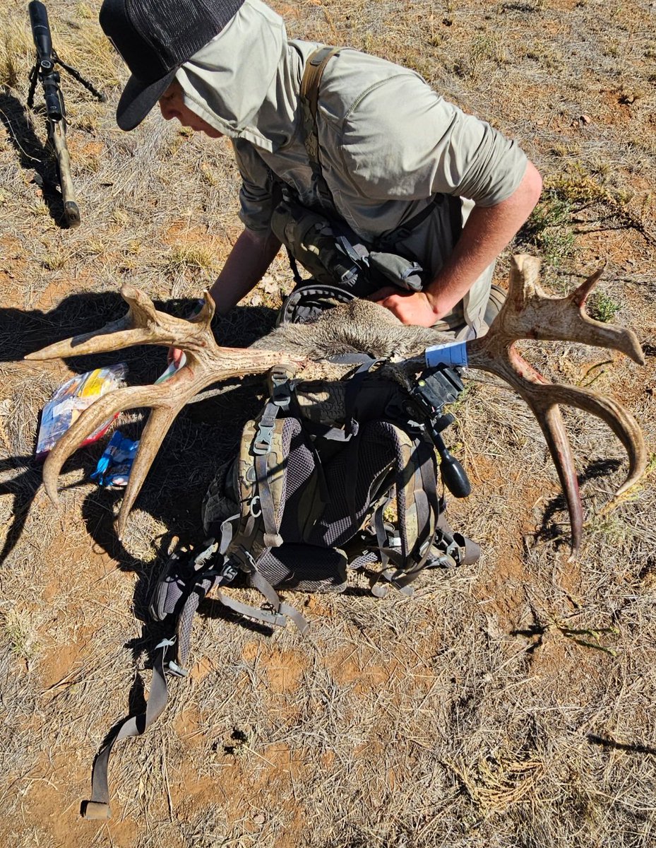 Cochran_jeffc's tweet image. Excited to see what these look like on the wall.