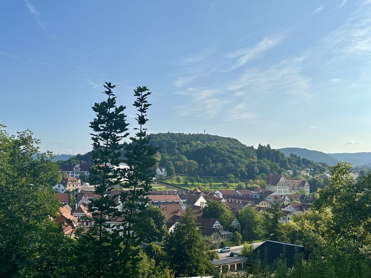 sabinebiiine's tweet image. Einen wunderschönen Abend noch. 🫶Mit lieben Grüßen aus Thüringen 🌲🌳#Heimat