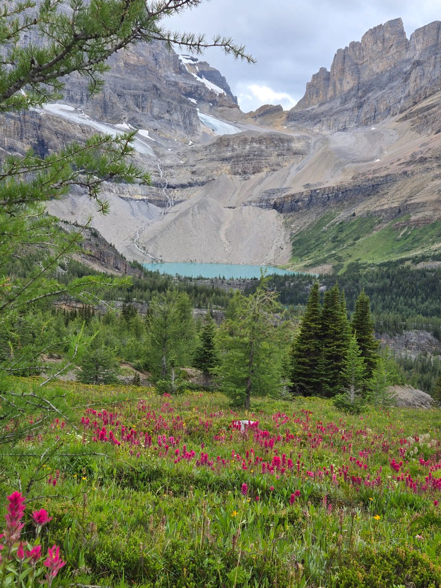I spent last weekend out in the Skoki area of Banff with some great friends.  Amazing sights!  I highly recommend it as an area to explore off the beaten path.