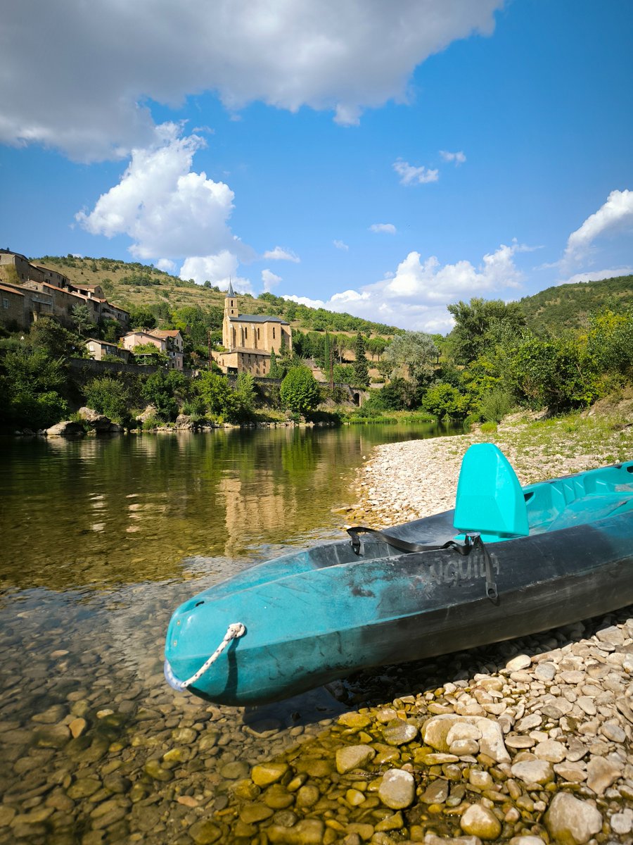 Dr. Paalmipedus 🦆 tweet media