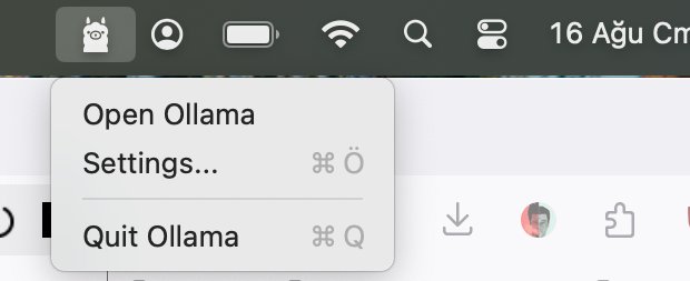 Resim