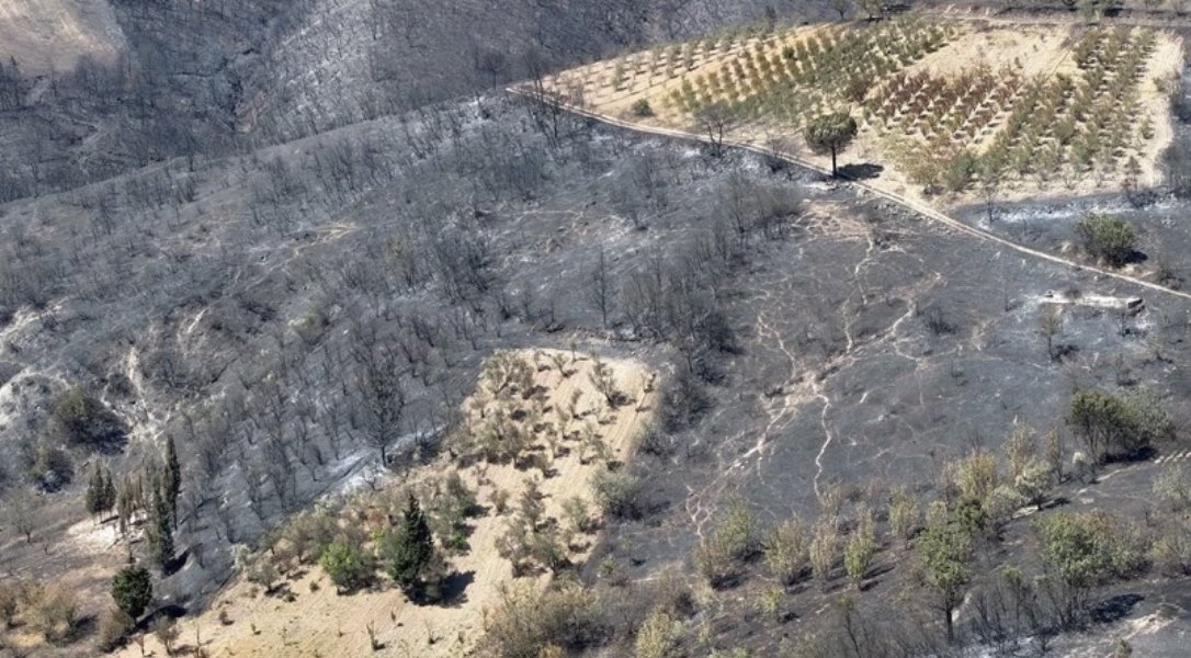 19emir_jk03's tweet photo. Acımız taze, kayıplarımız büyük ama hepimizin gücü de mücadelesi de her şeye yeter. Rabbim tekrarını yaşatmasın, daha beterinden korusun. Yangın tamamen kontrol altına alınıp, soğutma çalışmalarına başlanmıştır.
#Karamürsel
#OrmanYangını https://t.co/H92khfALqv