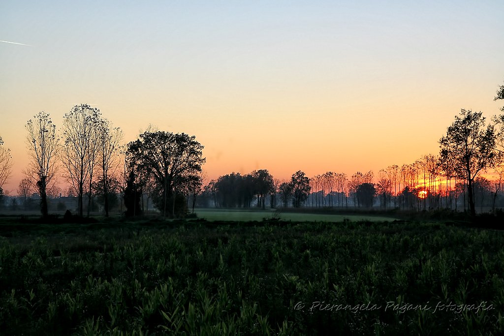 @ferrarisergio4 tweet media