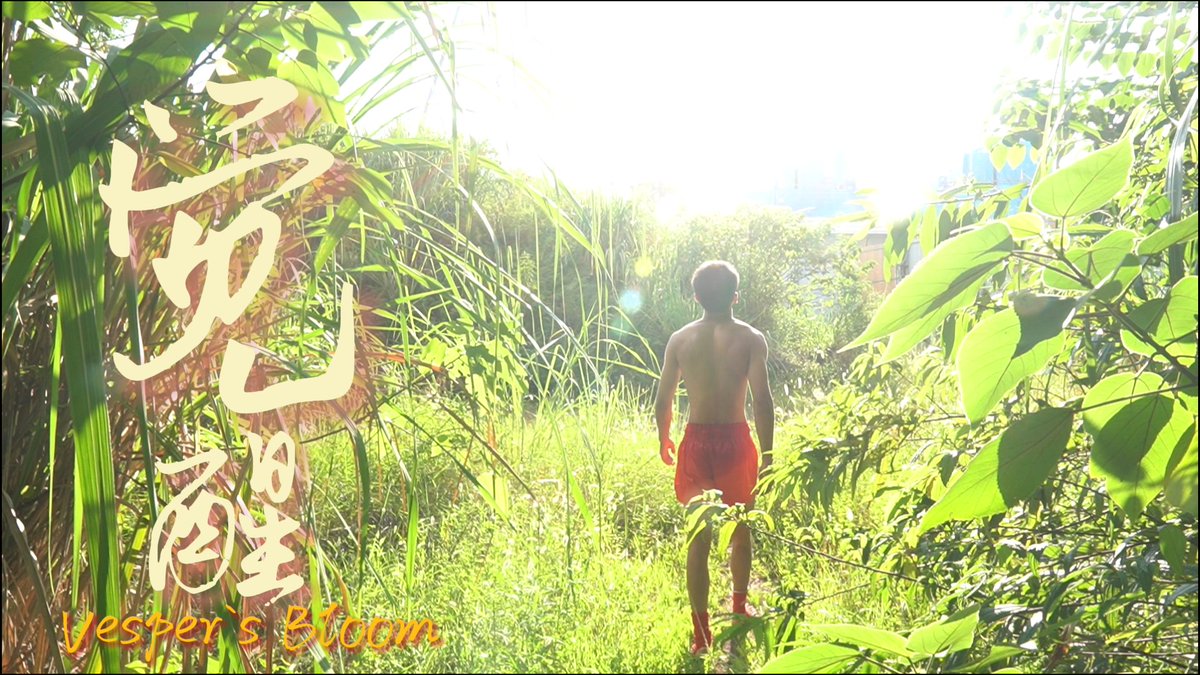 X 馆长 tweet media