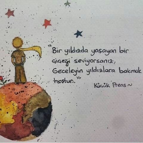 Edebiyat Cephesi (@edebiyatcephesi) on Twitter photo 