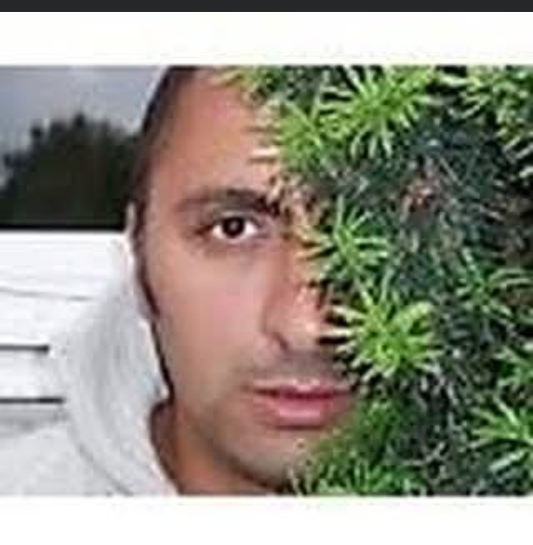 Green Eye <a href="/DunkunLaama/">Dunkun LAAMA</a>